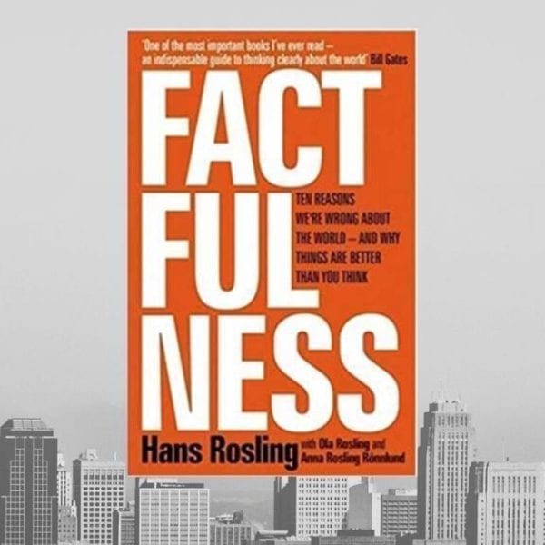 factualness over grey skyline