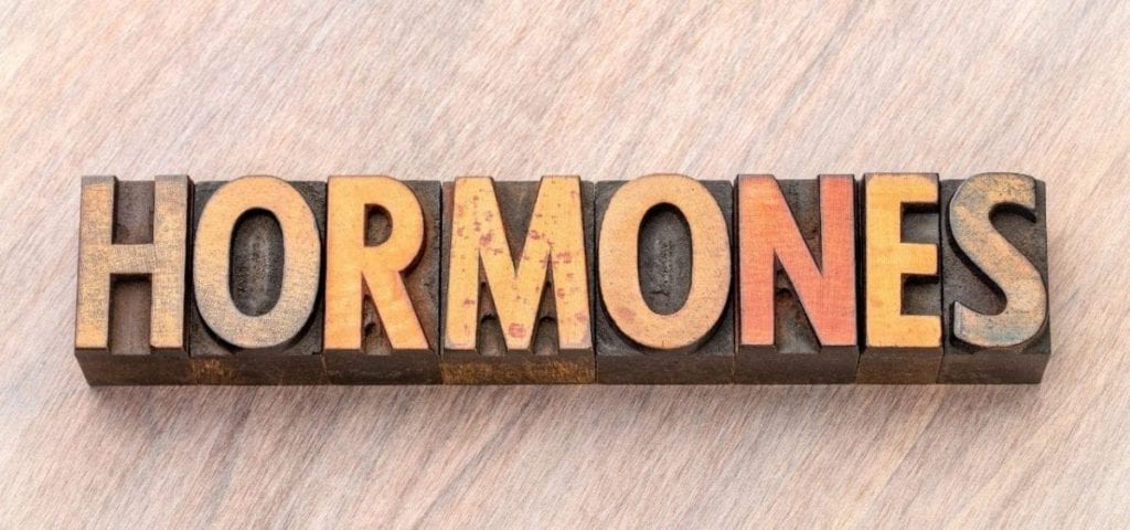 hormones on wooden background