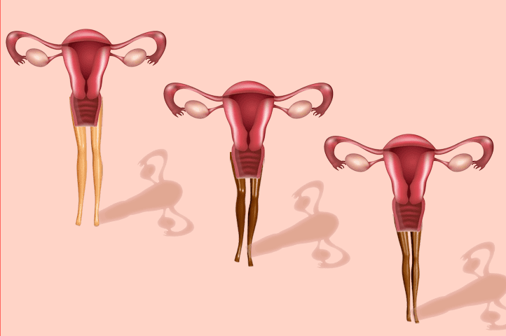 barbie legs with uteruses to illustrate Prostaglandins acting during menstrual cycle
