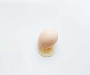 cracked egg on the floor
