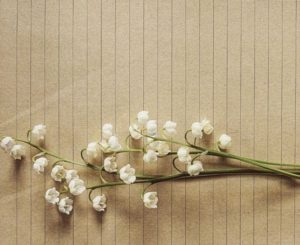 flowers on beige background