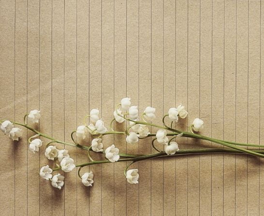 flowers on beige background to represent FSH after Menopause