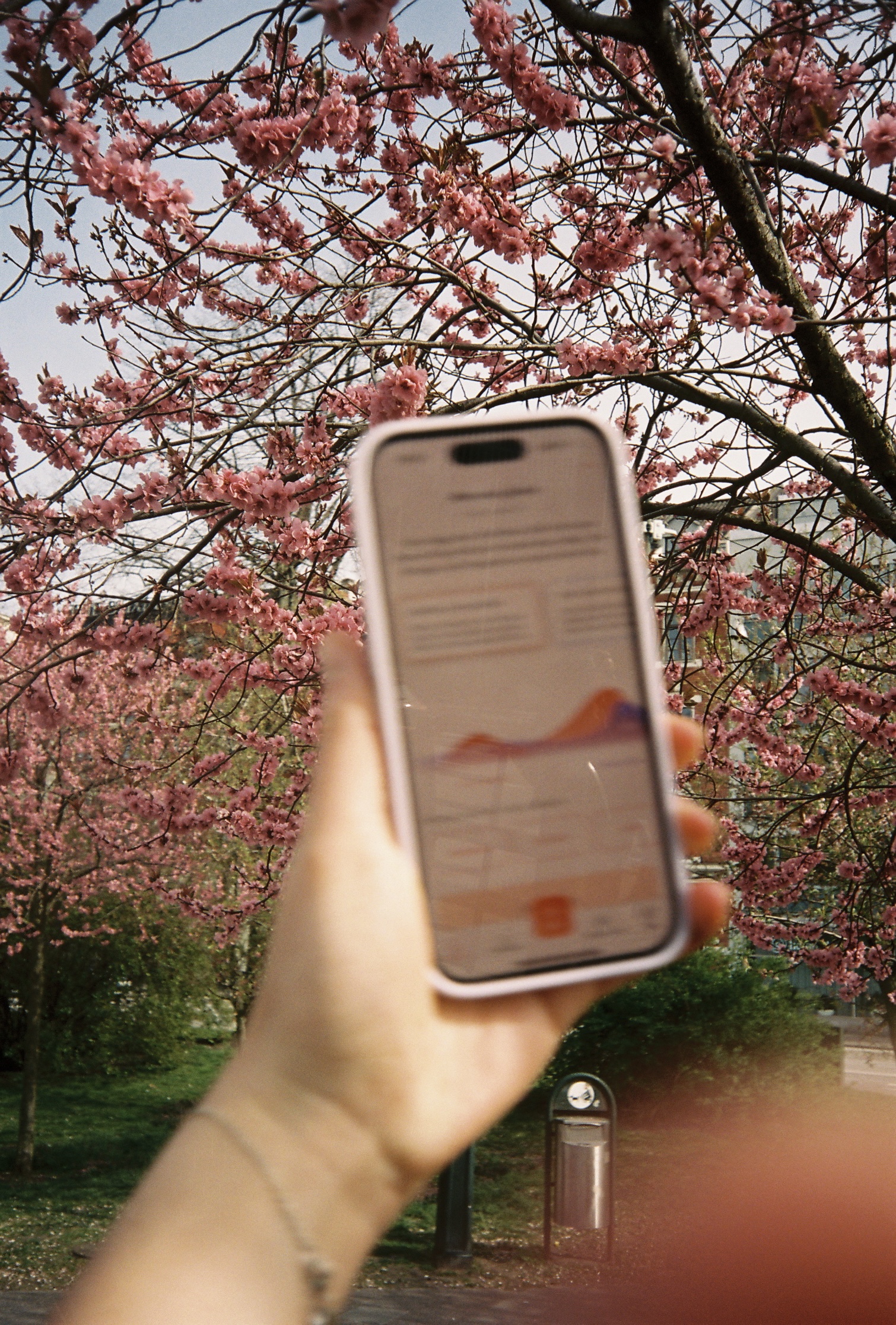 Menstrual Cycle Planning Your Life But Better Hormona